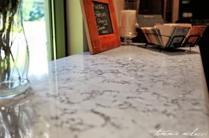 Spectrum-Stone-Designs-Silestone-Quartz-Roanoke-Countertops-Lynchburg-Countertops-Charlottesville-Countertops-Granite-Marble-Quartz