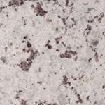 Bianco Romano Granite